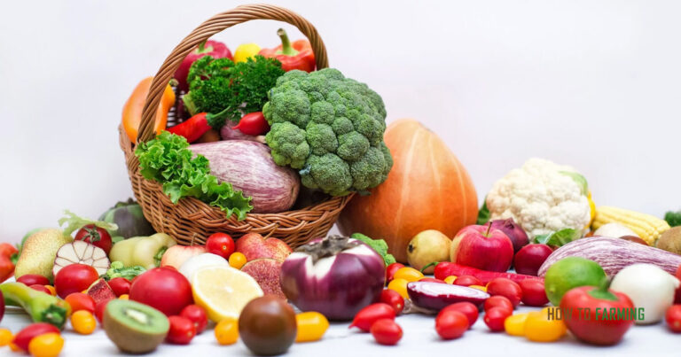 Vegetables to Grow in Minnesota