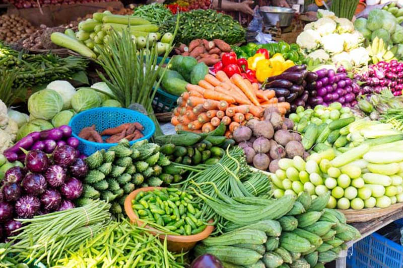 Winter Vegetables to Grow in Pot