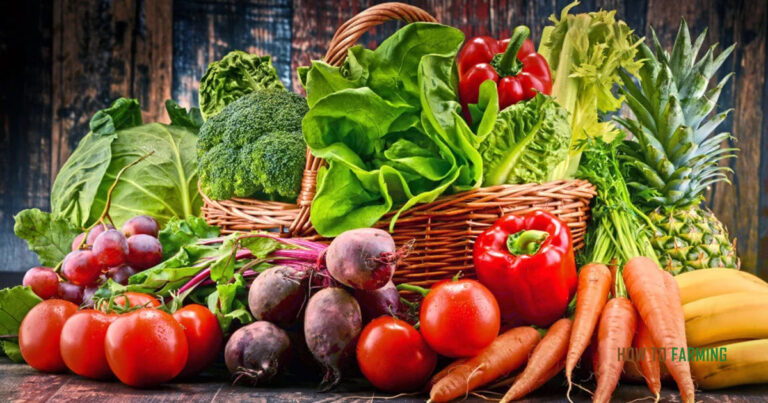 Can You Grow Vegetables All Year Round In A Greenhouse