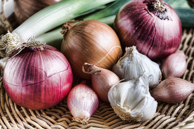 Onions, Leeks and Garlic