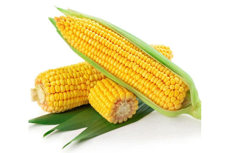 Sweet Corn