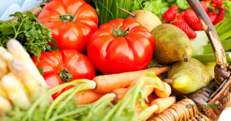 Vegetables to Grow in Michigan