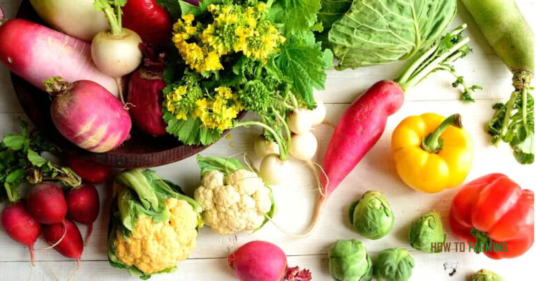Winter Vegetables to Grow in Tennessee